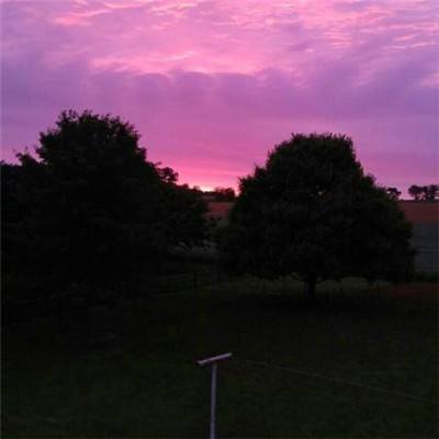 开运全站手机网页登录